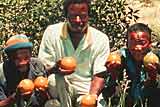 Hedelmäpuuprojektin päätutkija Stanley Mateke ja villiappelsiineja.