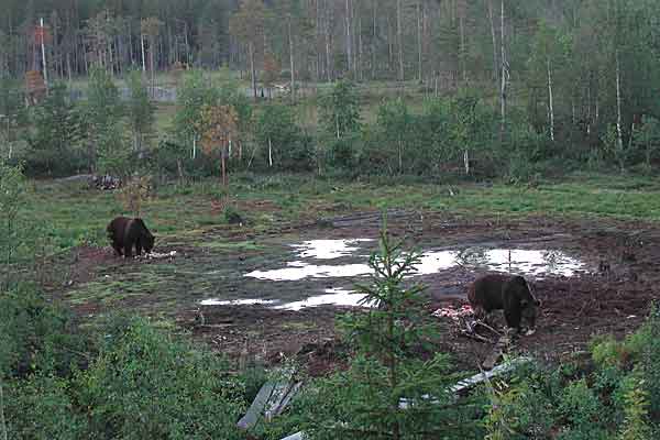 kuva: Jorma Kivist�