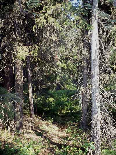 kuva: Outi Hakkarainen