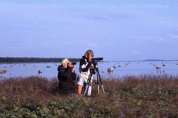 kuva: Outi Hakkarainen